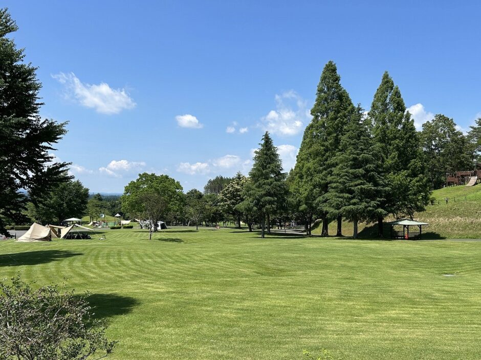 服掛松キャンプ場の広大な原っぱ