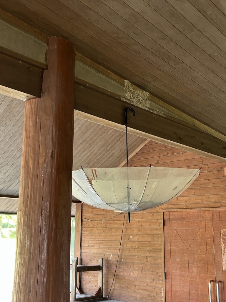燕の巣のフン落下防止カバー（DIY工夫）