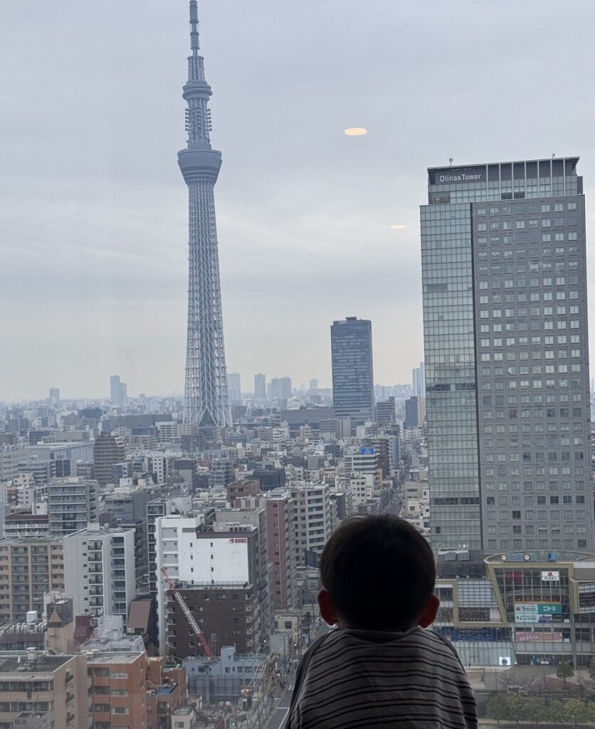 ロッテシティホテル錦糸町の客室から見た東京スカイツリーの眺望